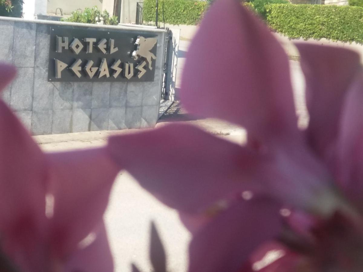 Pegasus Hotel 卡尼奥提 外观 照片